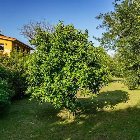 Ruralia Casa Alloru En